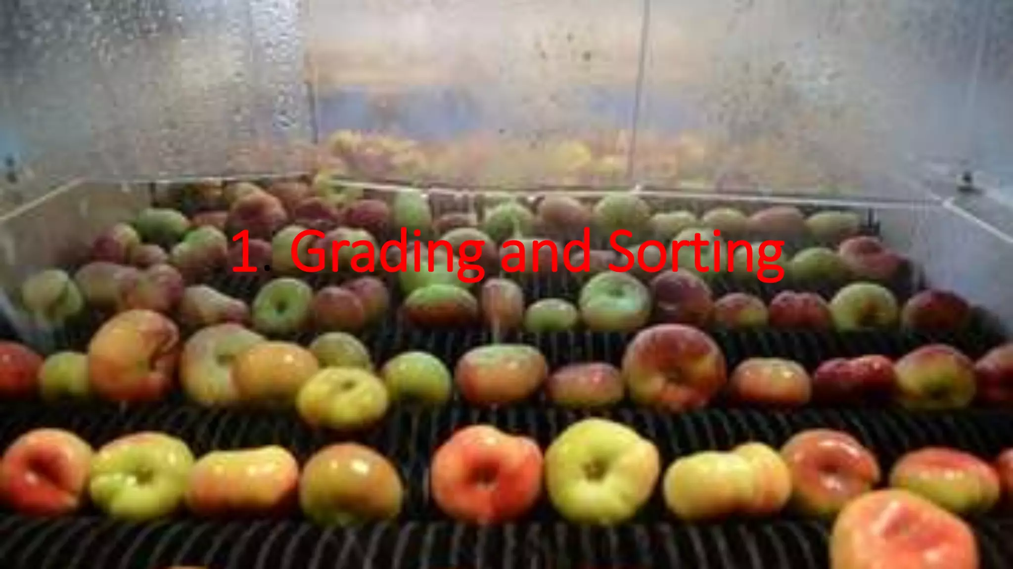 1. Grading and Sorting
 