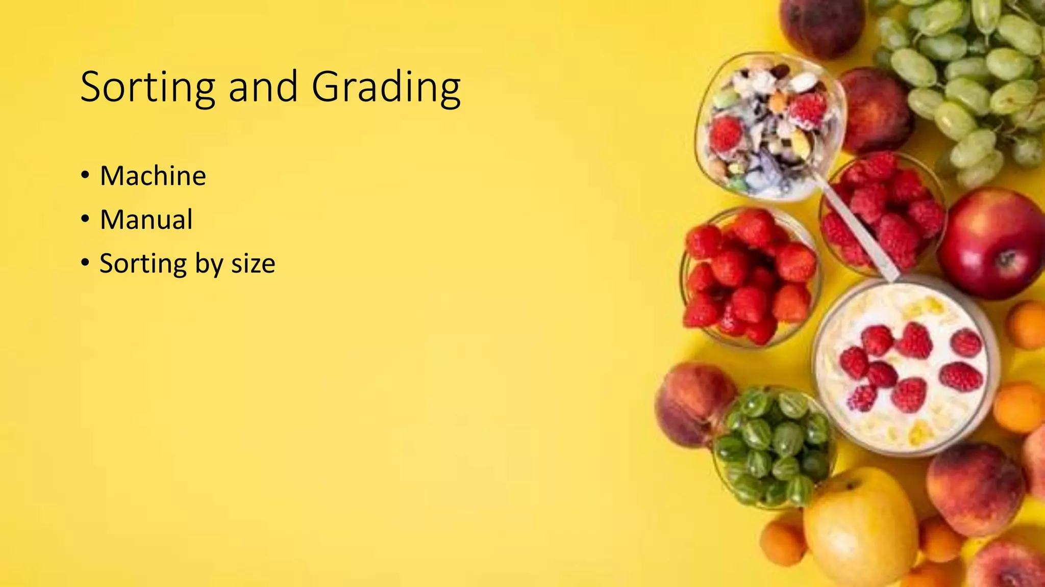 Sorting and Grading
• Machine
• Manual
• Sorting by size
 