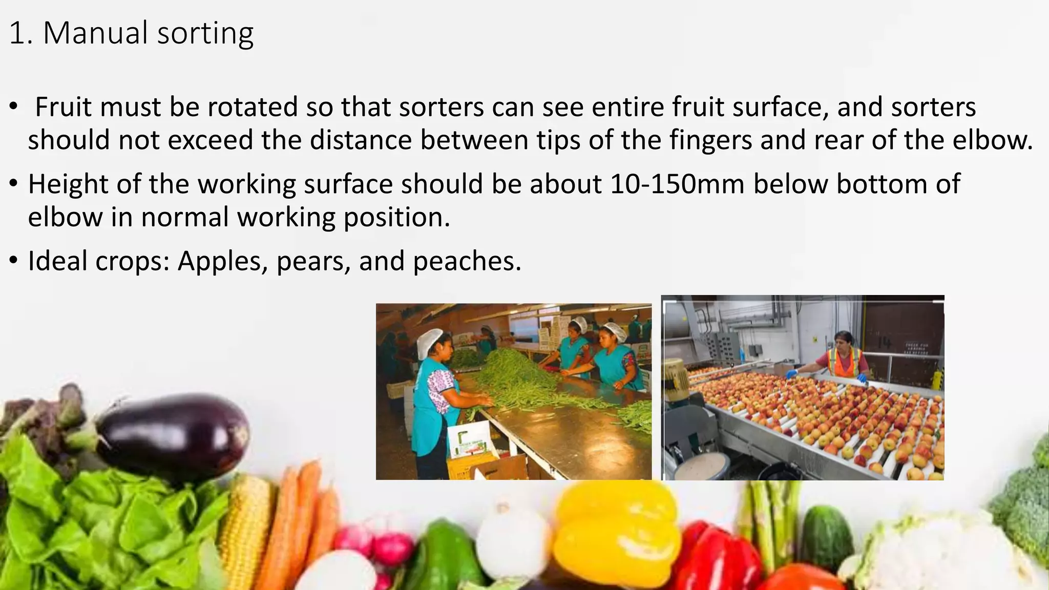 1. Manual sorting
• Fruit must be rotated so that sorters can see entire fruit surface, and sorters
should not exceed the distance between tips of the fingers and rear of the elbow.
• Height of the working surface should be about 10-150mm below bottom of
elbow in normal working position.
• Ideal crops: Apples, pears, and peaches.
 