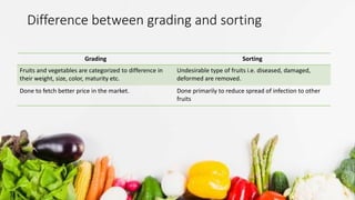 Sorting Grading Primary and minimal processing of fruits and vegetables | PPTX