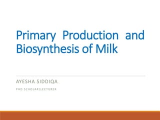 Primary Production and
Biosynthesis of Milk
AYESHA SIDDIQA
PHD SCHOLAR/LECTURER
 