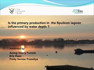 Azong Valery Funwie
Eric Raes
Fiddy Semba Prasetiya
Is the primary production in the Spuikom lagoon
influenced by water depth ?
Presented by:
 