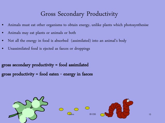 Primary productivity files Biology Diagrams