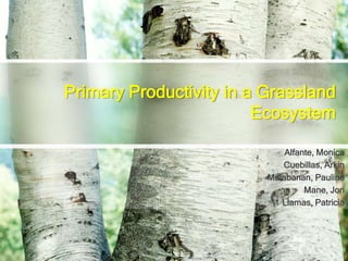 Primary Productivity in a Grassland
Ecosystem
Alfante, Monica
Cuebillas, Arkin
Malabanan, Pauline
Mane, Jon
Llamas, Patricia
 
