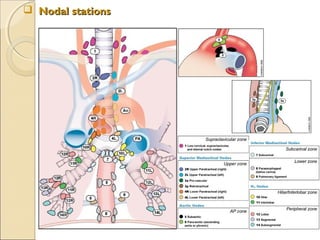  Nodal stationsNodal stations
 