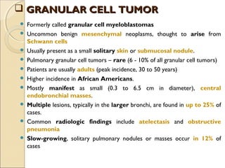  Formerly called granular cell myeloblastomas
 Uncommon benign mesenchymal neoplasms, thought to arise from
Schwann cells
 Usually present as a small solitary skin or submucosal nodule.
 Pulmonary granular cell tumors – rare (6 - 10% of all granular cell tumors)
 Patients are usually adults (peak incidence, 30 to 50 years)
 Higher incidence in African Americans.
 Mostly manifest as small (0.3 to 6.5 cm in diameter), central
endobronchial masses.
 Multiple lesions, typically in the larger bronchi, are found in up to 25% of
cases.
 Common radiologic findings include atelectasis and obstructive
pneumonia
 Slow-growing, solitary pulmonary nodules or masses occur in 12% of
cases
 GRANULAR CELL TUMORGRANULAR CELL TUMOR
 