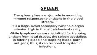 Secondary lymphoid organ :-
 