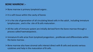BONE MARROW :-
Bone marrow is primary lymphoid organs .
It is soft tissue within the cavity of bones
It is the site of generation of all circulating blood cells in the adult , including immature
lymphocytes , and is the site of B cells maturation .
All the cells of immune system are initially derived form the bone marrow through a
process called haematopoiesis .
Immature B cells arise from lymphoid progenitors , proliferate and differentiate within
the bone marrow .
Bone marrow also have stromal cells interact direct with B cells and secrets various
cytokines and help in the maturation of B cells .
 