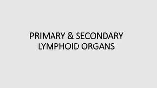 PRIMARY & SECONDARY
LYMPHOID ORGANS
 