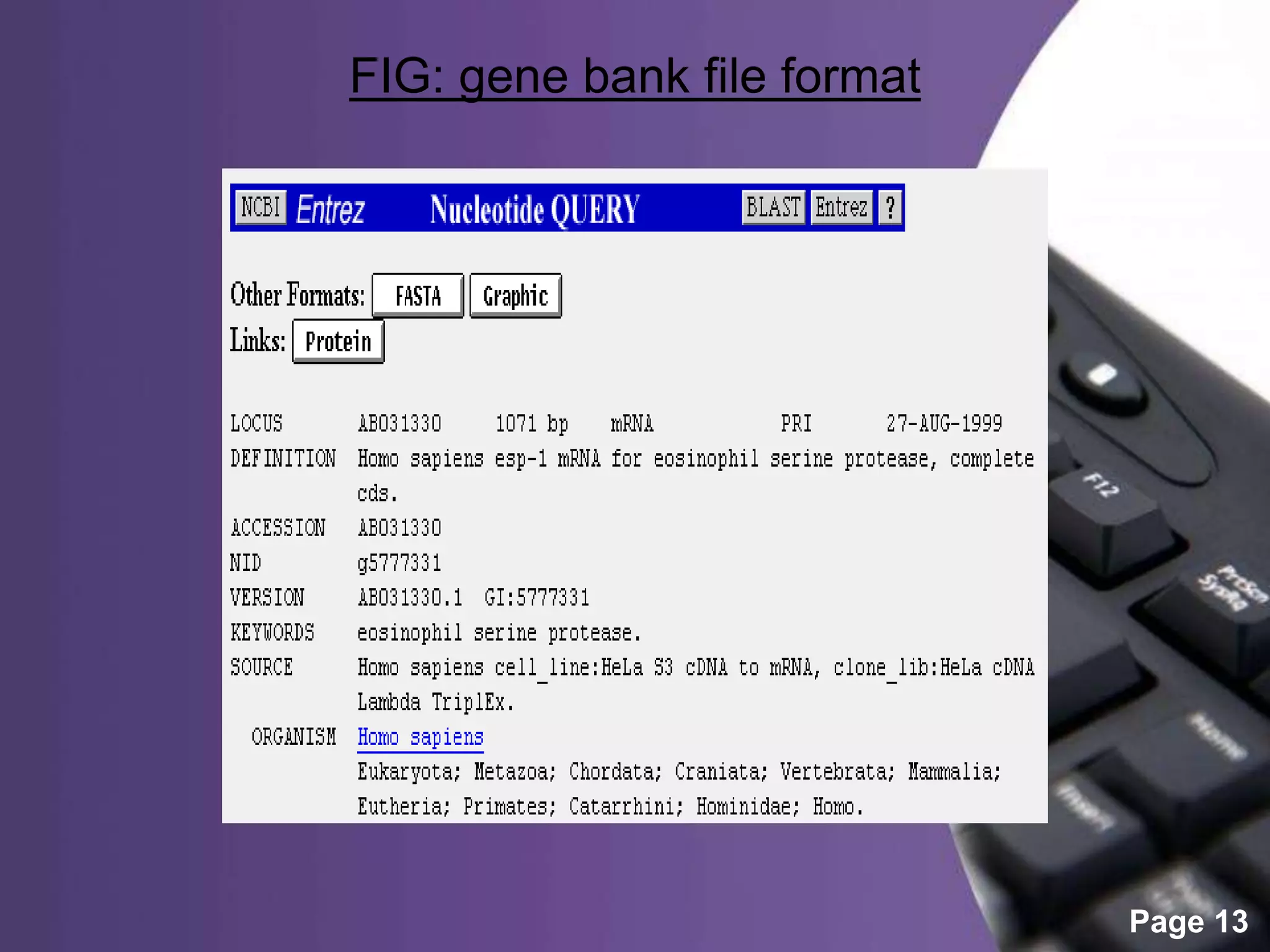 Powerpoint Templates
Page 13
FIG: gene bank file format
 