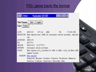 Powerpoint Templates
Page 13
FIG: gene bank file format
 