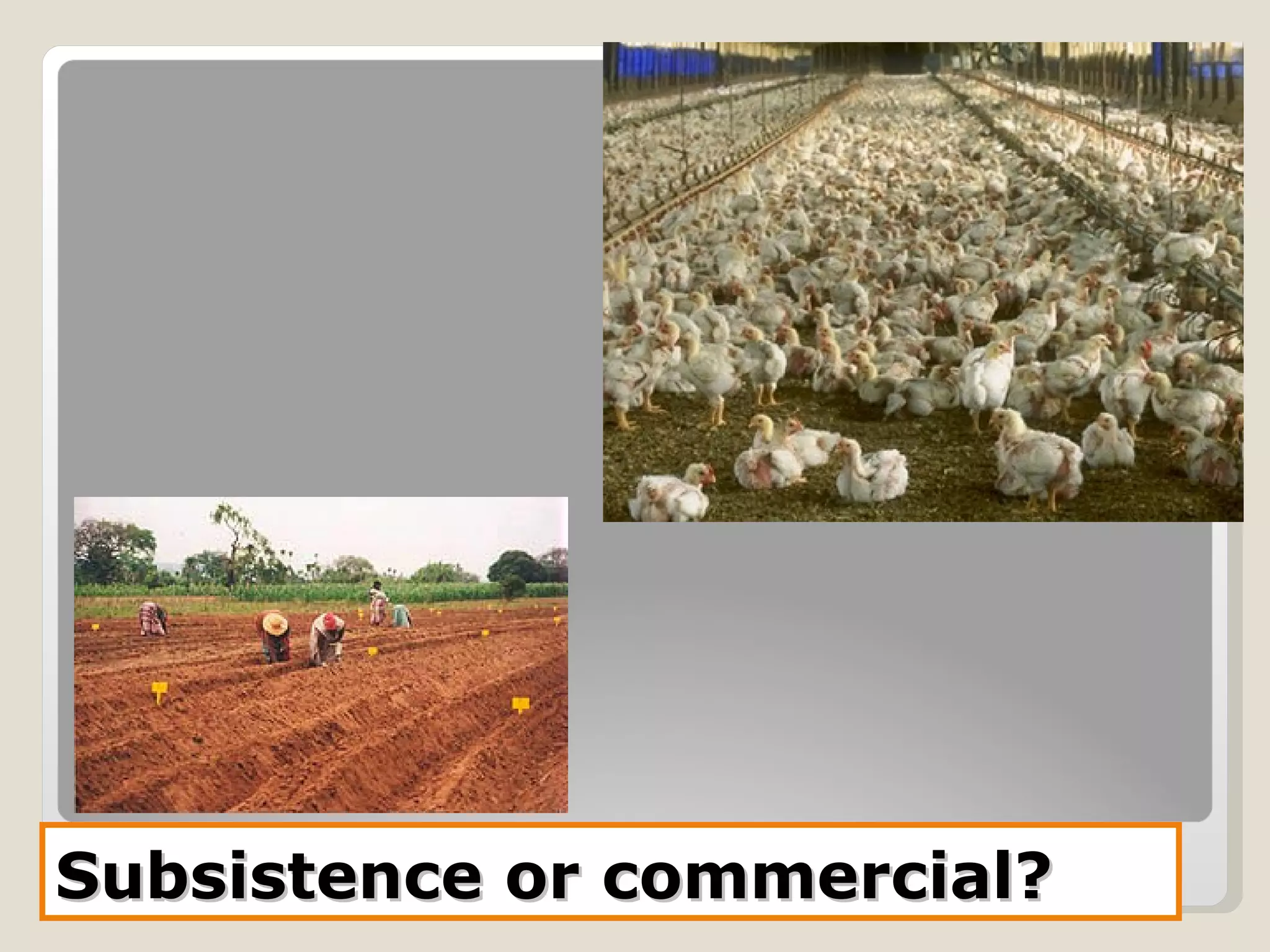 Subsistence or commercial? 