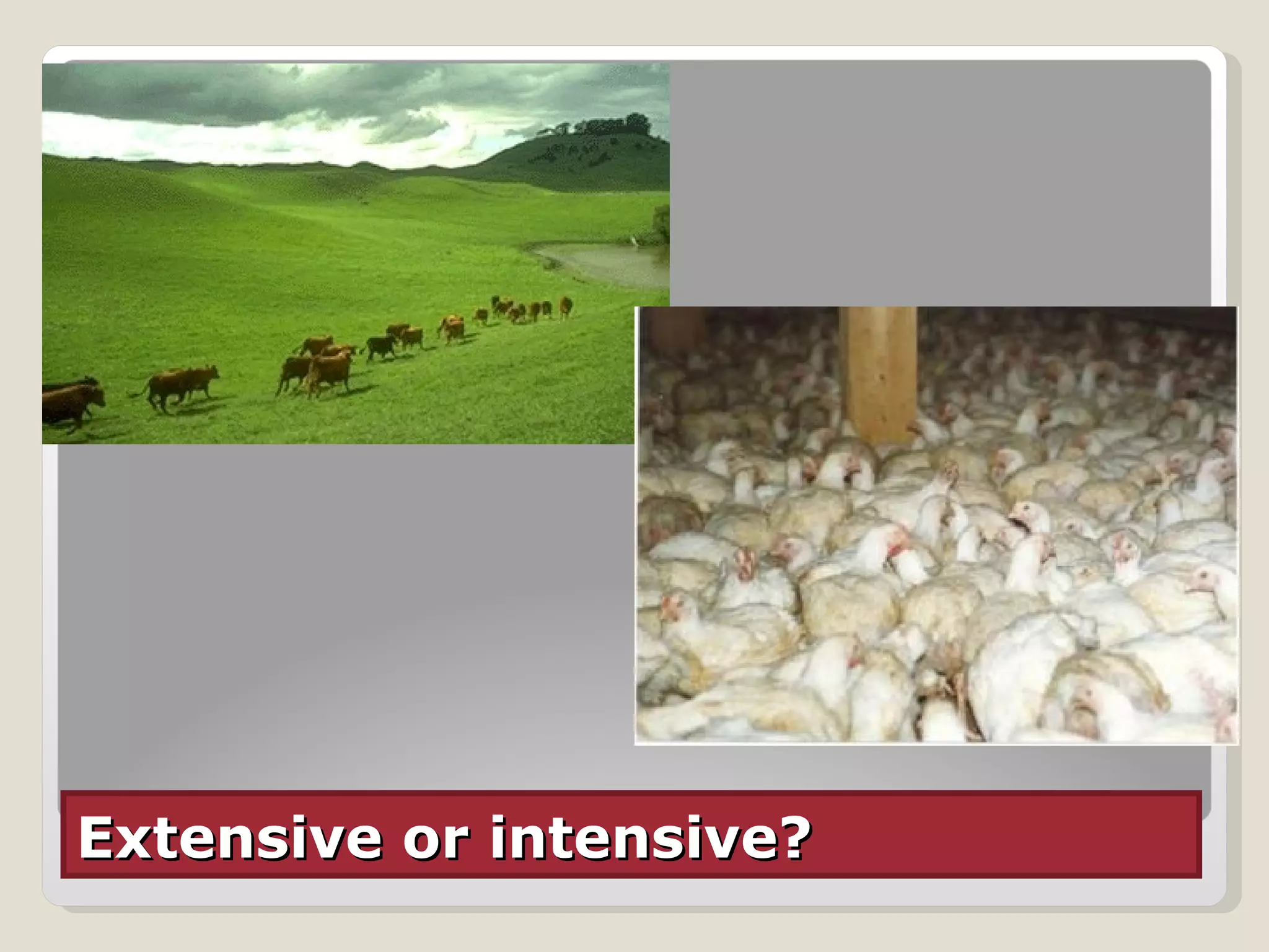 Extensive or intensive? 