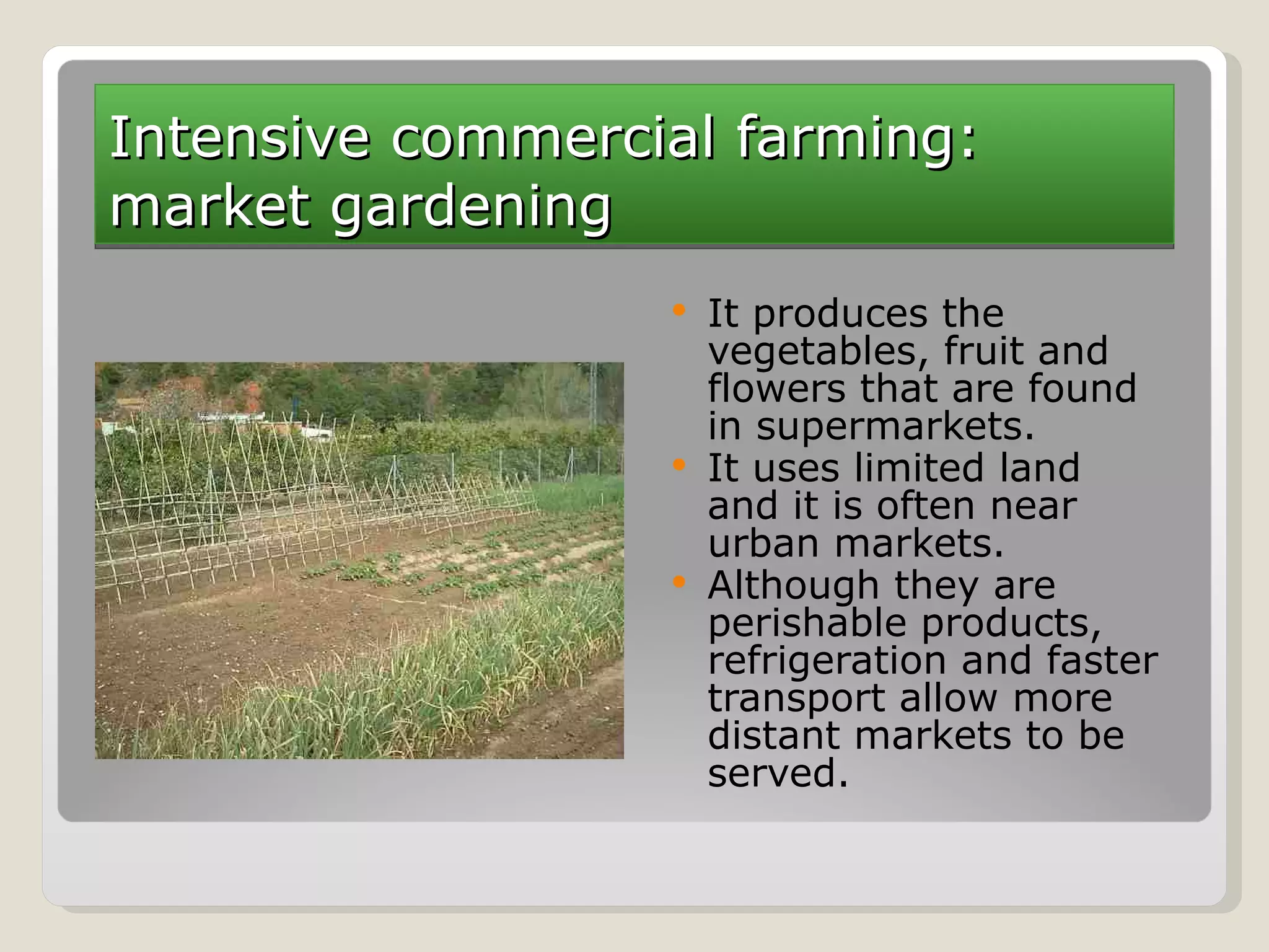 Intensive commercial farming: market gardening It produces the vegetables, fruit and flowers that are found in supermarkets. It uses limited land and it is often near urban markets. Although they are perishable products, refrigeration and faster transport allow more distant markets to be served. 