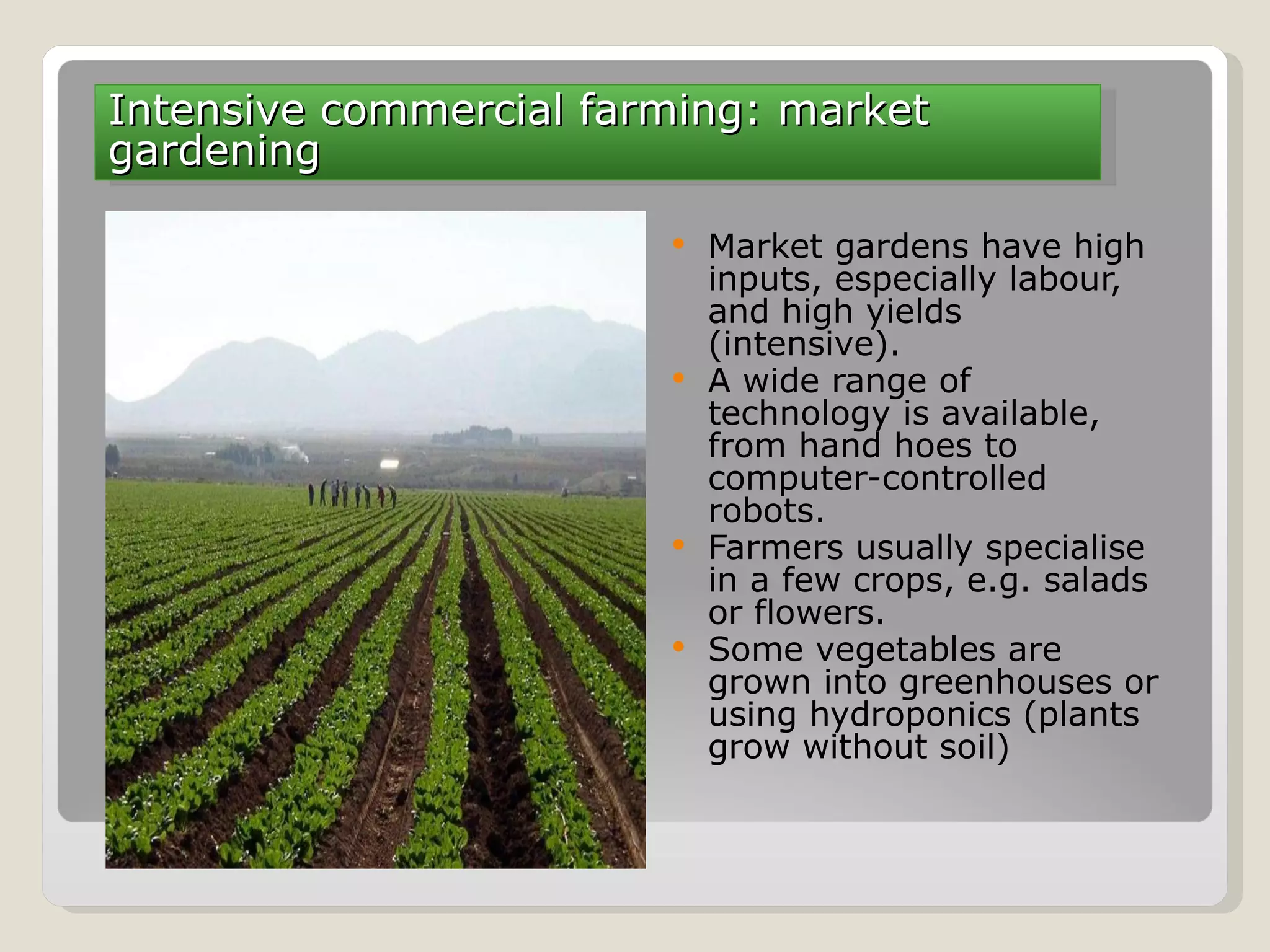 3.3.Market gardening Market gardens have high inputs, especially labour, and high yields (intensive). A wide range of technology is available, from hand hoes to computer-controlled robots. Farmers usually specialise in a few crops, e.g. salads or flowers. Some vegetables are grown into greenhouses or using hydroponics (plants grow without soil) Intensive commercial farming: market gardening 