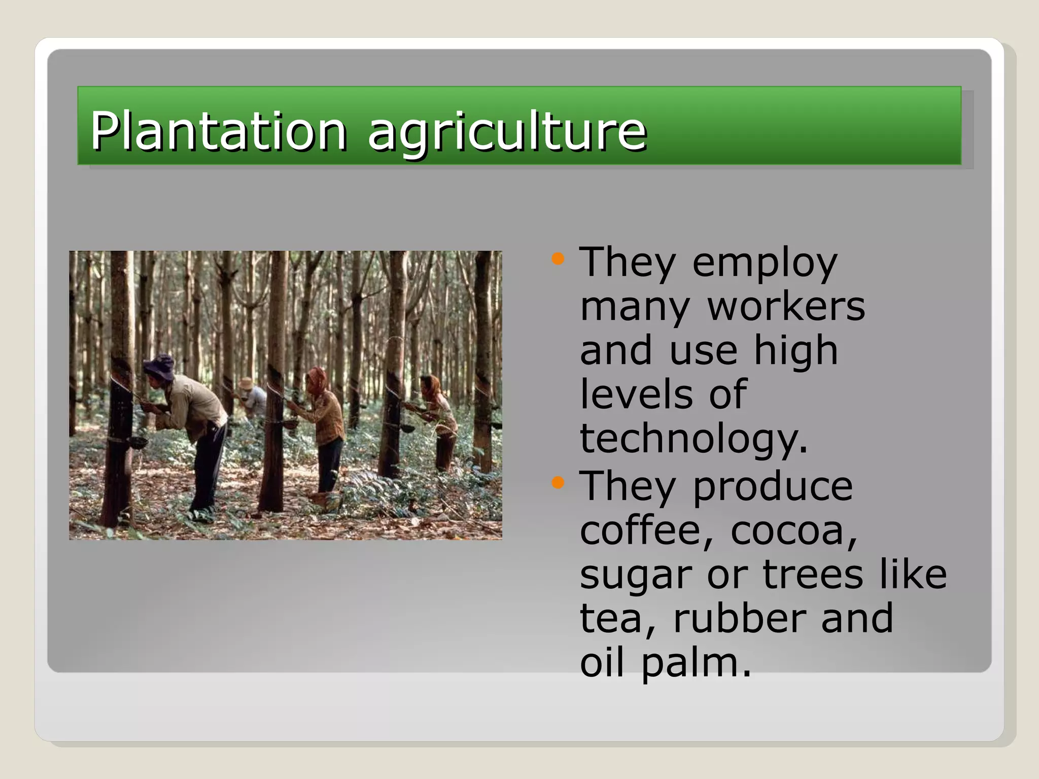 They employ many workers and use high levels of technology. They produce coffee, cocoa, sugar or trees like tea, rubber and oil palm. Plantation agriculture 