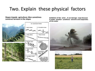 Two. Explain these physical factors
Slopes impede agriculture; Men sometimes   Exhibition of the wind . It can damage crops because
construct terraces in the slopes           it makes weather conditions extreme and evaporates
                                           all the water
 