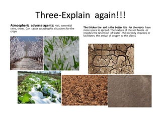 Three-Explain again!!!
Atmospheric adverse agents: Hail, torrential              The thicker the soil is the better it is for the roots have
rains, snow.. Can cause catastrophic situations for the
crops                                                     more space to spread. The texture of the soil favors or
                                                          impides the retention of water .The porosity impedes or
                                                          facilitates the arrival of oxygen to the plants
 