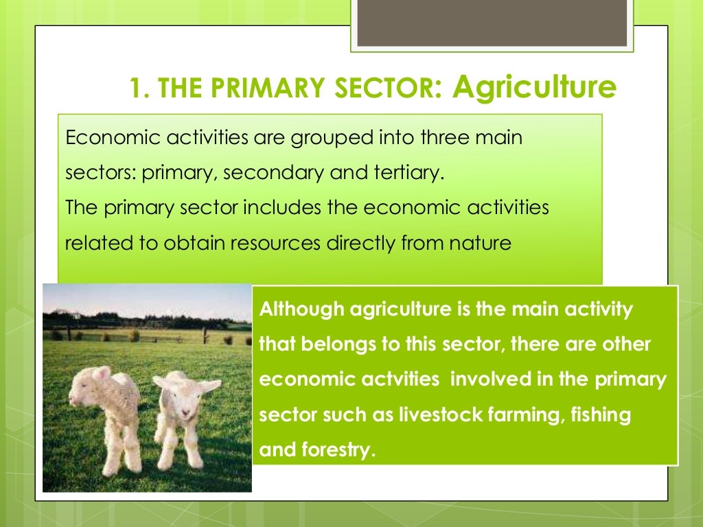 Primary sector