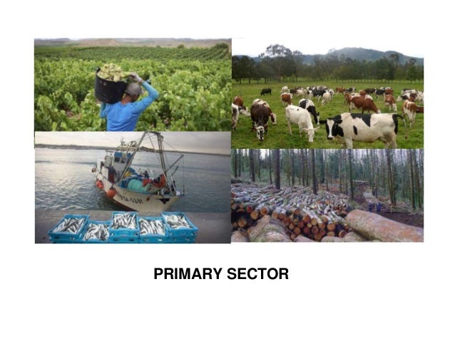 Primary Sector primary-sector