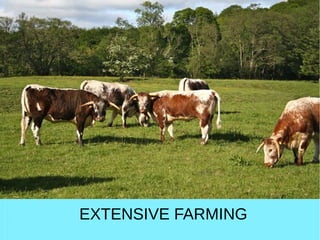EXTENSIVE FARMING