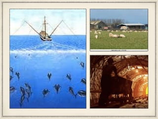 Primary, Secondary and tertiary sector | PPTX