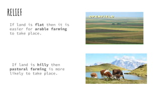 RELIEF
If land is flat then it is
easier for arable farming
to take place.
If land is hilly then
pastoral farming is more
likely to take place.
 
