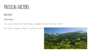 PHISICAL FACTORS
RELIEF
Altitude:
for every 100 m of altitude, temperatures fall by 0.6ºC.
For this reason, after a certain altitude, cultivation is no longer possible.
 