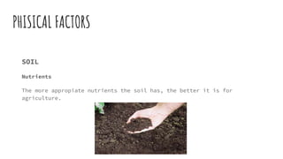 PHISICAL FACTORS
SOIL
Nutrients
The more appropiate nutrients the soil has, the better it is for
agriculture.
 