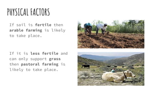 PHYSICAL FACTORS
If soil is fertile then
arable farming is likely
to take place.
If it is less fertile and
can only support grass
then pastoral farming is
likely to take place.
 