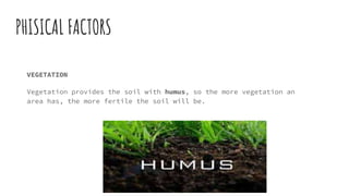 PHISICAL FACTORS
VEGETATION
Vegetation provides the soil with humus, so the more vegetation an
area has, the more fertile the soil will be.
 