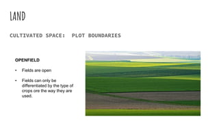 LAND
CULTIVATED SPACE: PLOT BOUNDARIES
OPENFIELD
• Fields are open
• Fields can only be
differentiated by the type of
crops ore the way they are
used.
 