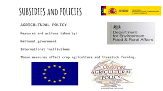 SUBSIDIES and POLICIES
AGRICULTURAL POLICY
Measures and actions taken by:
National government
International institutions
These measures affect crop agriculture and livestock farming.
 
