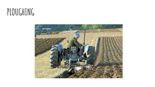 PLOUGHING
 