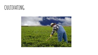 CULTIVATING
 