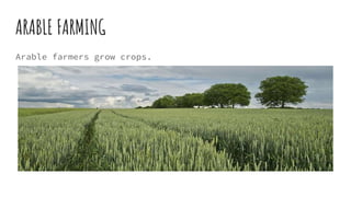 ARABLE FARMING
Arable farmers grow crops.
 