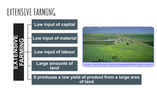 EXTENSIVE FARMINGEXTENSIVE
FARMING Low input of capital
Low input of material
Low input of labour
Large amounts of
land
It produces a low yield of product from a large area
of land
 