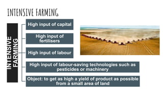 INTENSIVE FARMING
INTENSIVE
FARMING
High input of capital
High input of
fertilisers
High input of labour
High input of labour-saving technologies such as
pesticides or machinery
Object: to get as high a yield of product as possible
from a small area of land
 