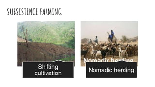 SUBSISTENCE FARMING
Shifting
cultivation
Nomadic herding
 