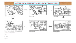 Page 147
Doc. D and E
Tasks 4 and 5
 