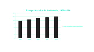 0
2
4
6
8
10
12
14
1990 1995 2000 2005 2010
Rice production in Indonesia, 1990-2010
Area harvested (million hectares)
 