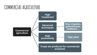 COMMERCIAL AGRICULTURE
Commercial
agriculture
High
investment
Advanced
techniques
Drip irrigation,
greenhouses,
fertilisers…
High
productivity
High yield
Crops are produced for commercial
purposes
 