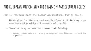 the european union and the common agricultural policy
The EU has developed the Common Agricultural Policy (CAP):
- Strategies for the control and develpment of farming that
have been adopted by all members of the EU.
- These strategies are for commercial farming:
- Farmers whose main aim is to grow crops or keep livestock to sell for
a profit.
 