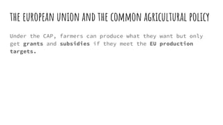 the european union and the common agricultural policy
Under the CAP, farmers can produce what they want but only
get grants and subsidies if they meet the EU production
targets.
 