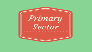 Primary sector flashcards