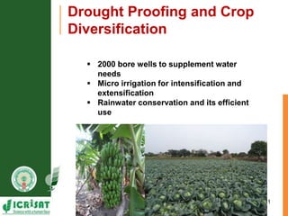 Primary sector mission - Transforming agriculture