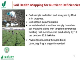 Primary sector mission - Transforming agriculture