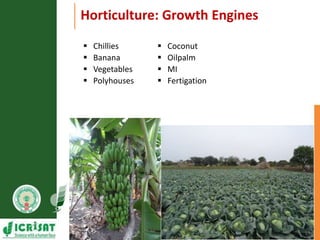 Primary sector mission - Transforming agriculture