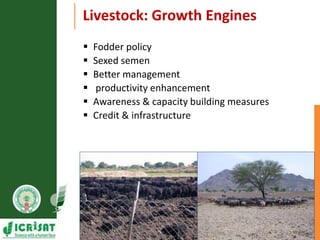 Primary sector mission - Transforming agriculture