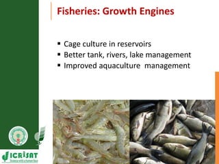 Primary sector mission - Transforming agriculture